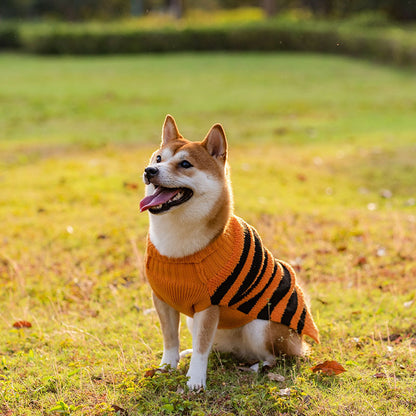 Costume Halloween Chien – Pull Chaud Cosplay pour Petits et Moyens Chiens