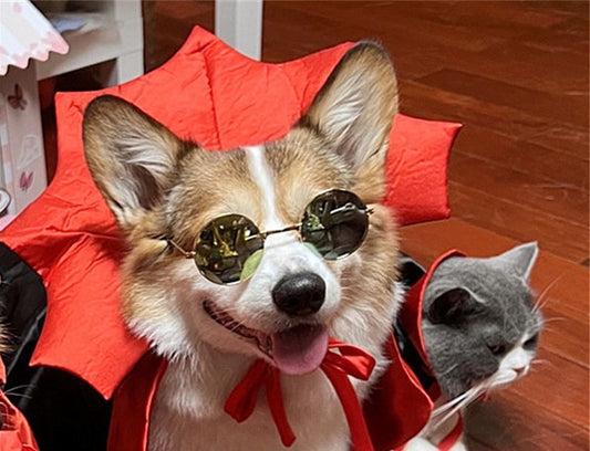 Costume Halloween Chien & Chat – Cape Vampire Déguisez Votre Animal
