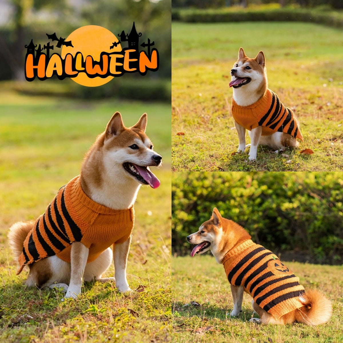Costume Halloween Chien – Pull Chaud Cosplay pour Petits et Moyens Chiens