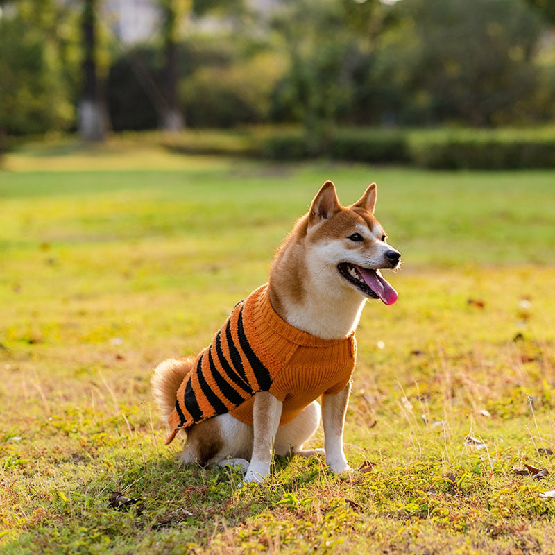Costume Halloween Chien – Pull Chaud Cosplay pour Petits et Moyens Chiens