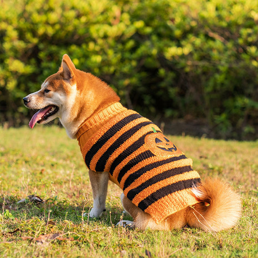 Costume Halloween Chien – Pull Chaud Cosplay pour Petits et Moyens Chiens