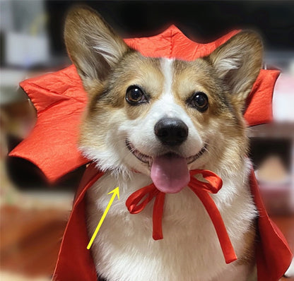 Costume Halloween Chien & Chat – Cape Vampire Déguisez Votre Animal