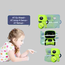 Robot Intelligent Interactif – Commande Vocale & Tactile