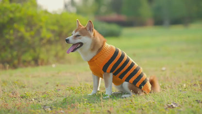 Costume Halloween Chien – Pull Chaud Cosplay pour Petits et Moyens Chiens