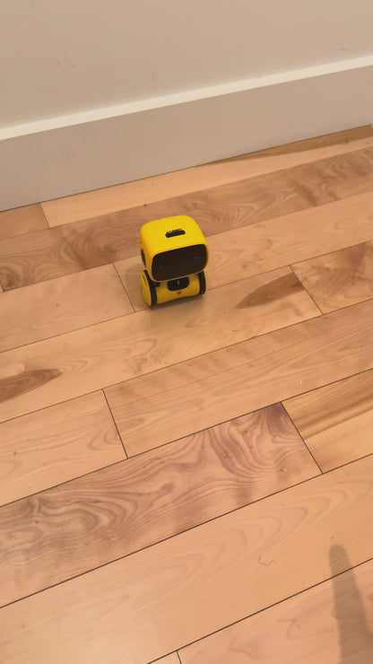 Robot Intelligent Interactif – Commande Vocale & Tactile