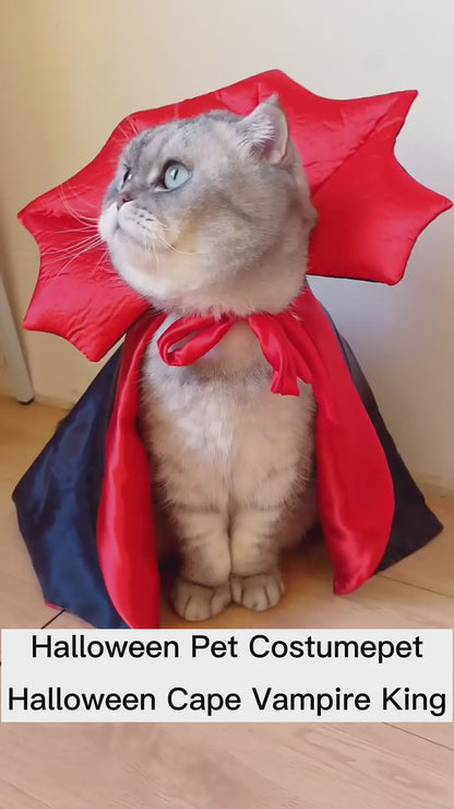 Costume Halloween Chien & Chat – Cape Vampire Déguisez Votre Animal